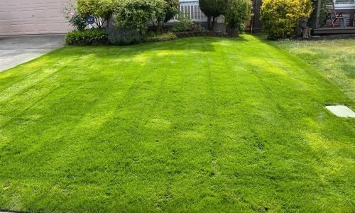 WhatsApp Image 2025-11-05 at 5.33.09 PM